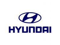 Chiptuning Hyundai Starex Chiptuning Hyundai Starex