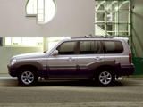 Chiptuning Hyundai Terracan Chiptuning Hyundai Terracan