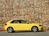 Chip-tuning Audi A3 8P 2003 - 2008