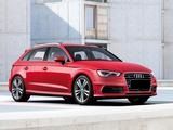 Chip-tuning Audi A3 2012 - 2016