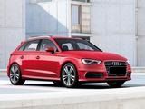 Chip-tuning Audi A3 8V 2012 - 2016