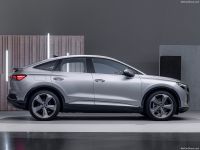 Digichip Audi Q4 Digichip Audi Q4
