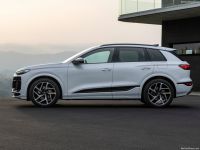 Digichip Audi Q6 Digichip Audi Q6