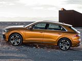 Piggyback Audi Q8