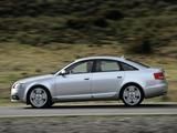 Piggyback Audi A6 C5 2004 <