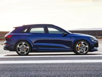 Digichip Audi E-Tron Digichip Audi E-Tron