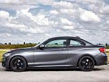Chip-tuning BMW 2 serie 2013  >