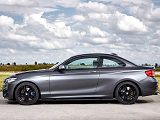 Piggyback BMW 2 serie F2x 2013 > Piggyback BMW 2 serie F2x 2013 >