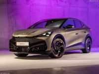 Digichip Cupra Tavascan Digichip Cupra Tavascan