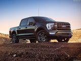 Piggyback Ford USA F-150, F-250, F-350 en F-450 Piggyback Ford USA F-150, F-250, F-350 en F-450