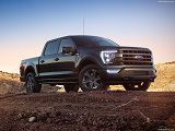 Chiptuning Ford USA F-150, F-250, F-350 en F-450