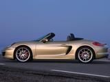 Piggyback Porsche Boxster 981 Piggyback Porsche Boxster 981