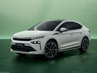 Digichip Skoda Enyaq Digichip Skoda Enyaq