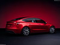 Digichip Tesla Model-3 Digichip Tesla Model-3