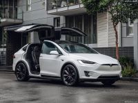 Digichip Tesla Model-X Digichip Tesla Model-X