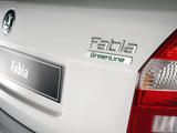 Chiptuning Skoda Fabia 1.2TDI Greenline 2011 Chiptuning Skoda Fabia 1.2TDI Greenline 2011