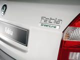 Chiptuning Skoda Fabia 1.2TDI Greenline 2011