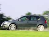 Chiptuning VW Golf 1.6FSI 2003 Chiptuning VW Golf 1.6FSI 2003